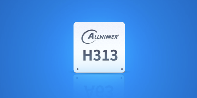Awinnner H313