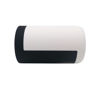 1080P Camera for Webcast (2)
