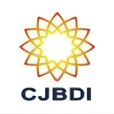 zhongguosifadashuju-logo